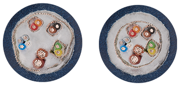 Movimiento de torsión CF