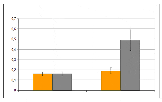 Resultados de la prueba