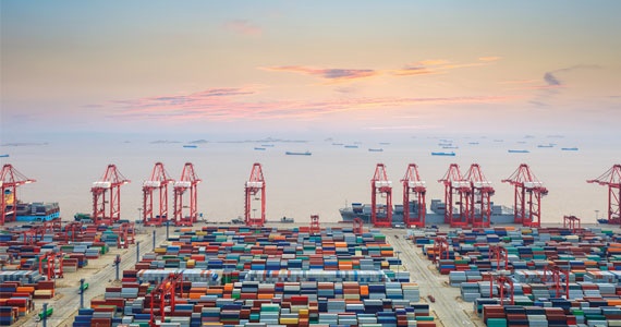Terminales de contenedores y navíos