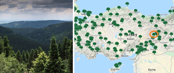 Mapa con el lugar de reforestación marcado en Elazig